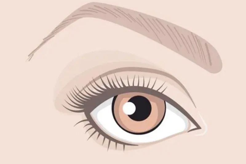 Mắt xếch cùng với lông mày xếch không tốt về mặt nhân tướng học lẫn thẩm mỹ