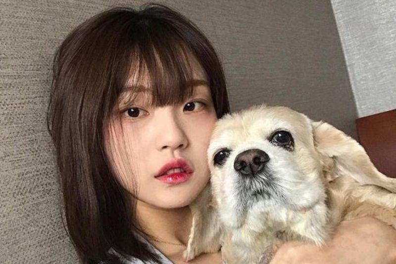 Kiểu tóc giúp tiết chế mức độ dữ tợn từ đôi mắt xếch